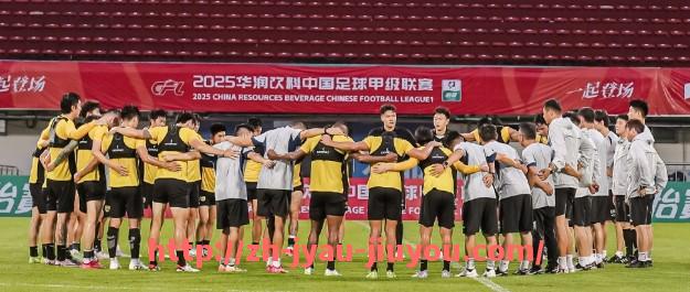 九游jiuyou-如何判断德甲赛季冠军球队？官方规则详解